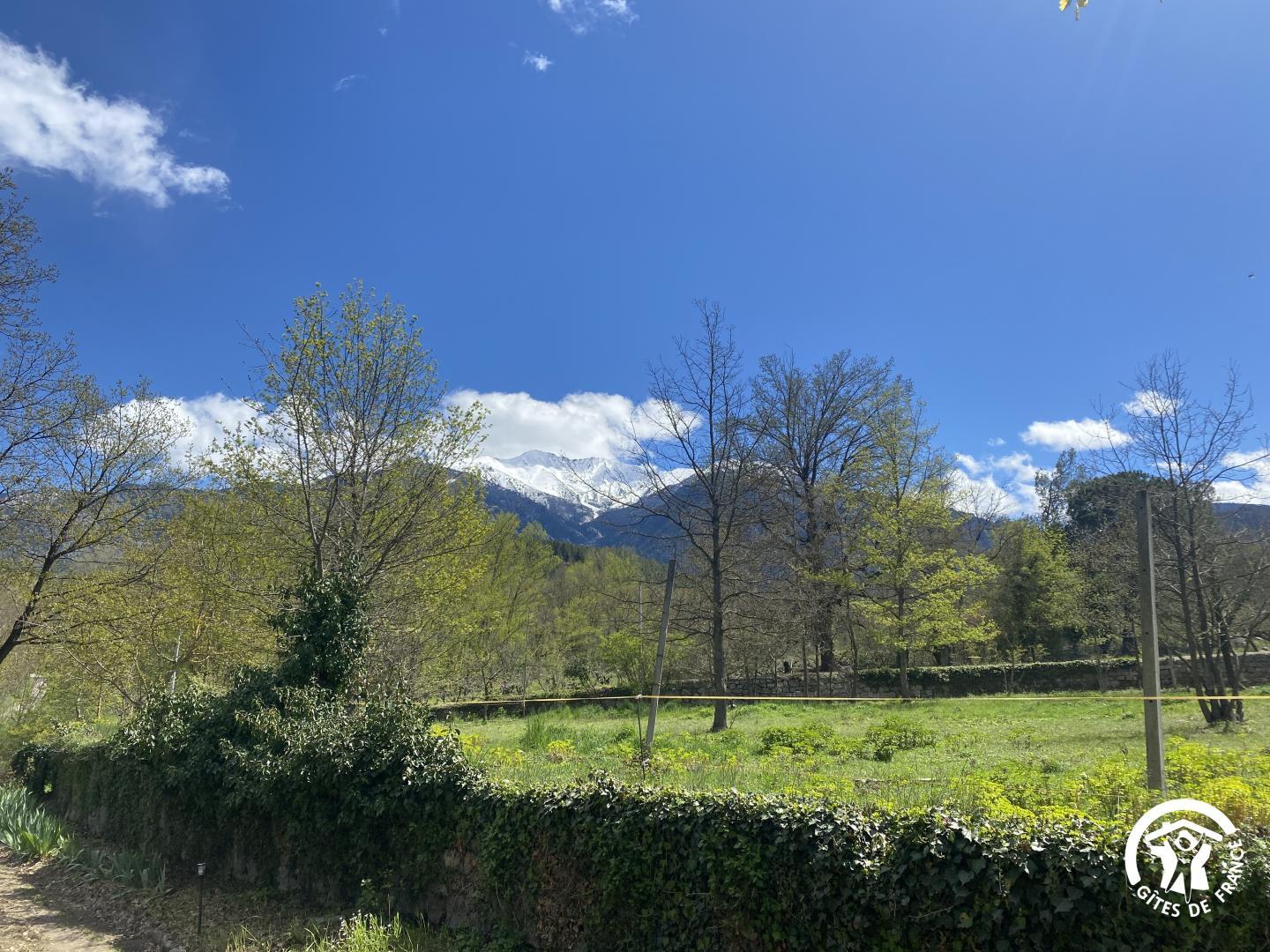 LA POMMERAIE DU CANIGOU, Corneilla-de-Conflent - photo 78