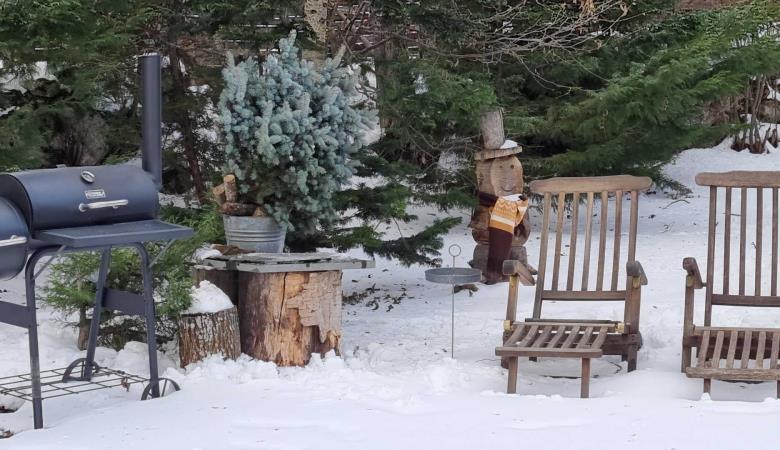 La cabane du trappeur_53