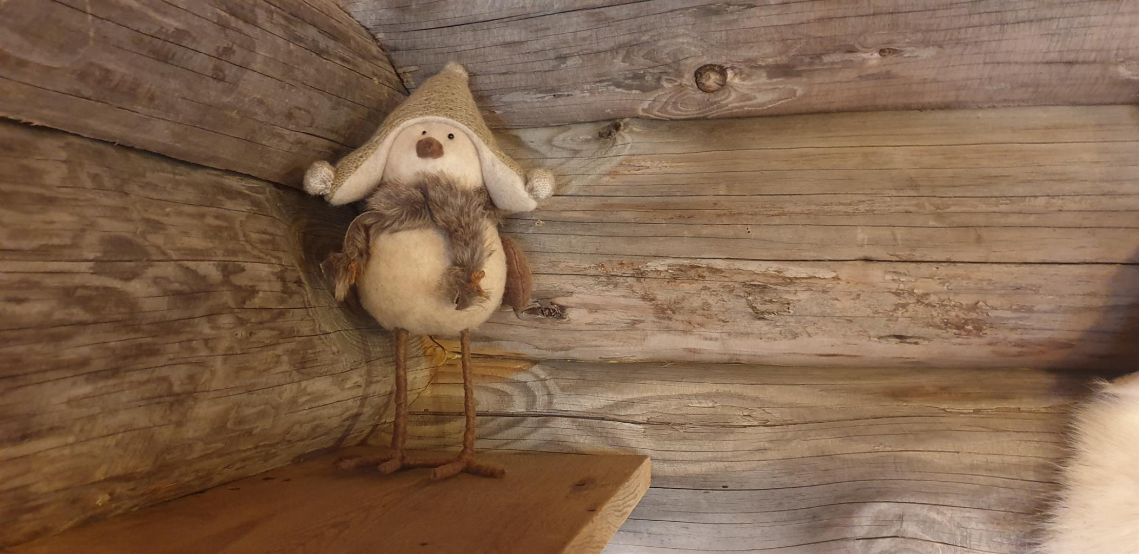 LA CABANE DU TRAPPEUR, Dorres - photo 152