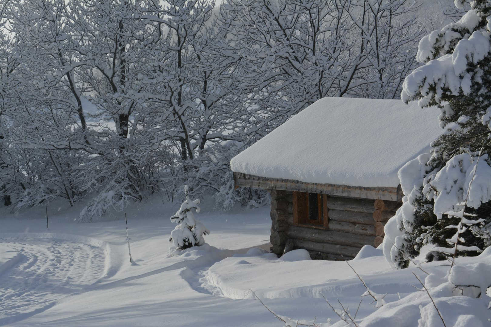 LA CABANE DU TRAPPEUR, Dorres - photo 88