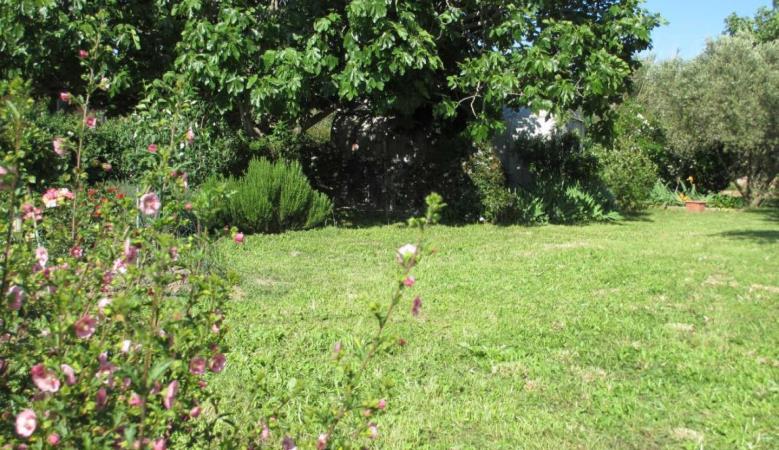 Jardin magnac_18