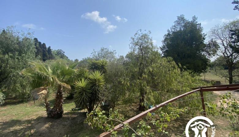 Mas de la roubine_10