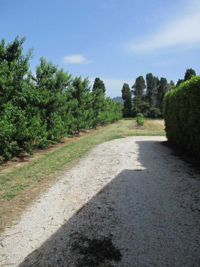 LE COSCOLLET 2, Ille-sur-Têt - photo 30