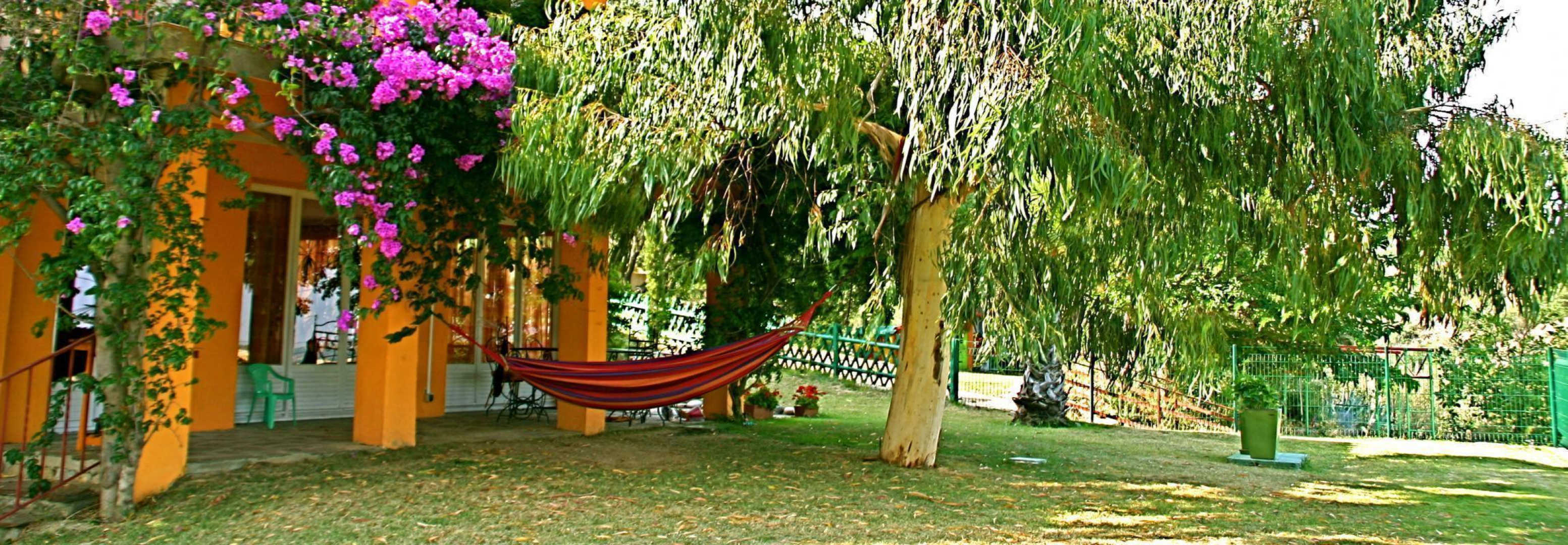LES EUCALYPTUS, Ille-sur-Têt - photo 39