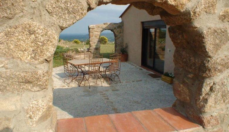 Gîte et oliviers_8