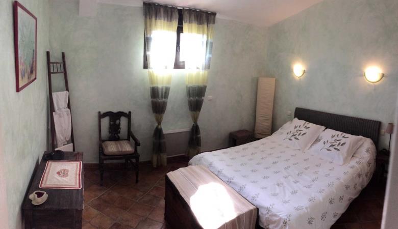Gîte et oliviers_15