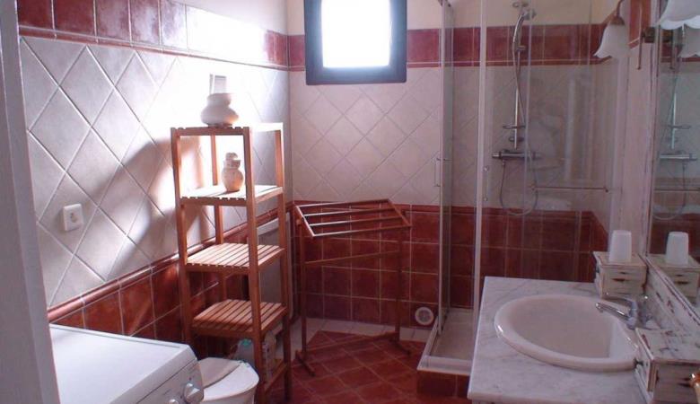 Gîte et oliviers_16