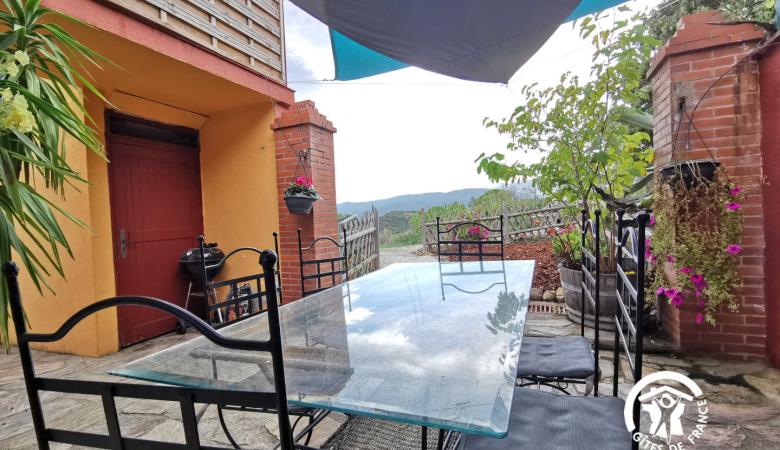 Les Agaves_22