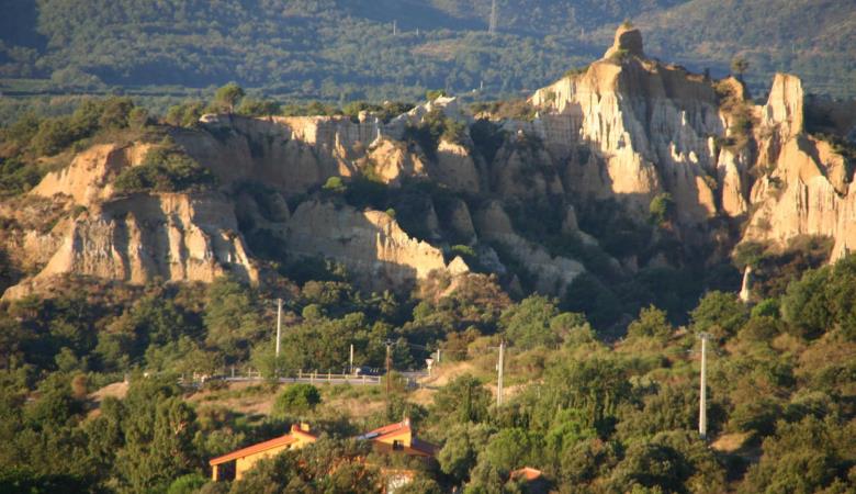 Les Mimosas_17