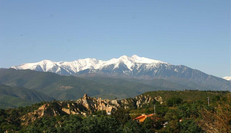 Les Mimosas_18