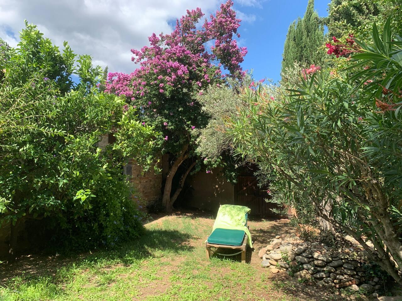 MAS BASTIT, Ille-sur-Têt - photo 19
