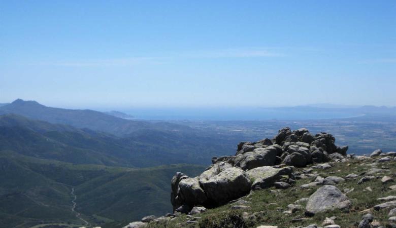 Els cirerers_30