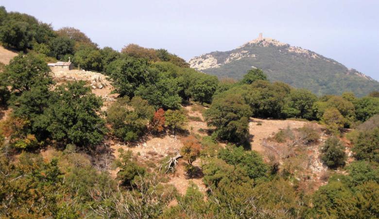 Els cirerers_28
