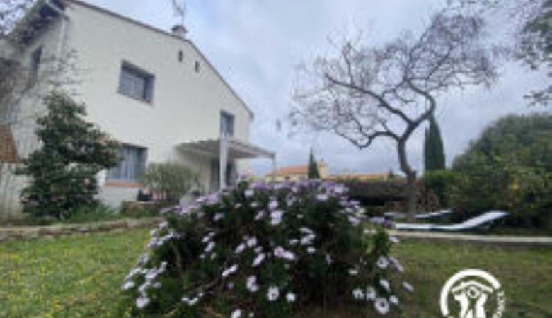 Les iris_1