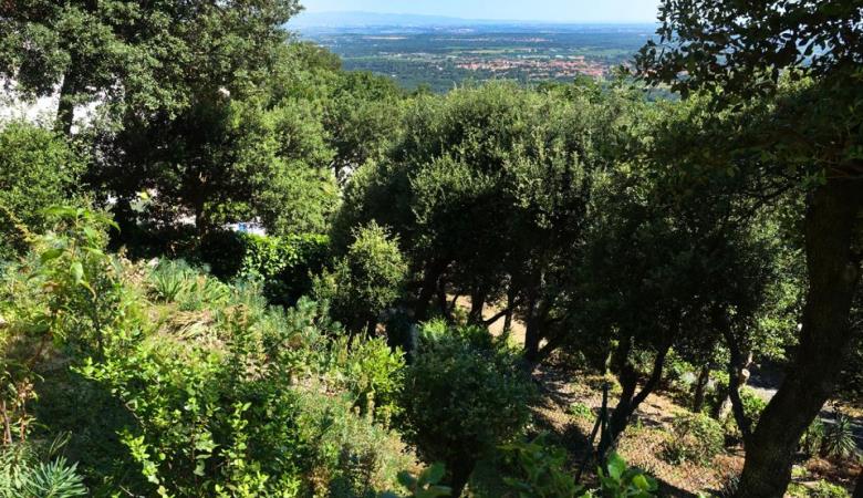 Le Paradis des Albères_27