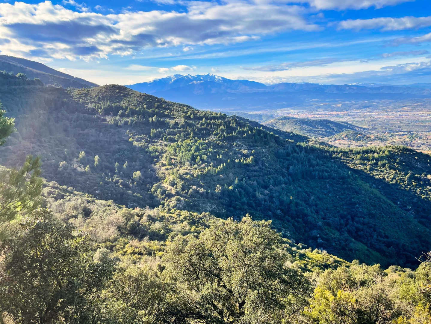 LE GÎTE DES ORIGANS, Laroque-des-Albères - photo 17
