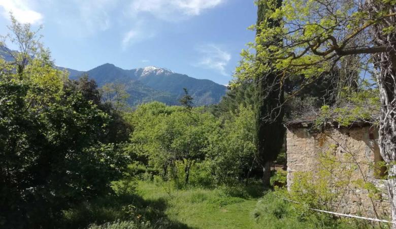 La Grange aux hirondelles_23