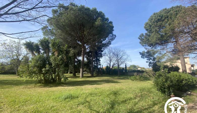 Le Cèdre du Parc de la Dame_10