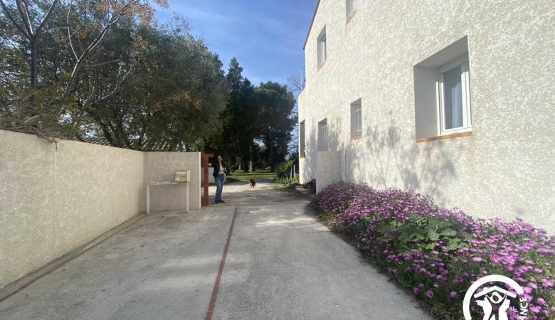 Le Cèdre du Parc de la Dame_14