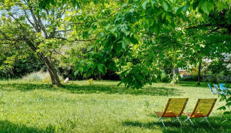 Le Cèdre du Parc de la Dame_4