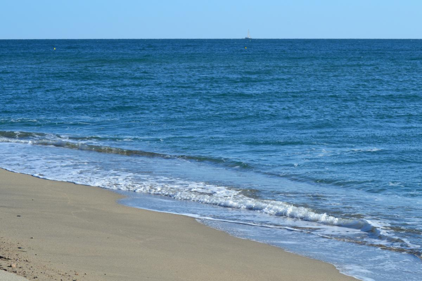 BANYULS, Latour-Bas-Elne - photo 51