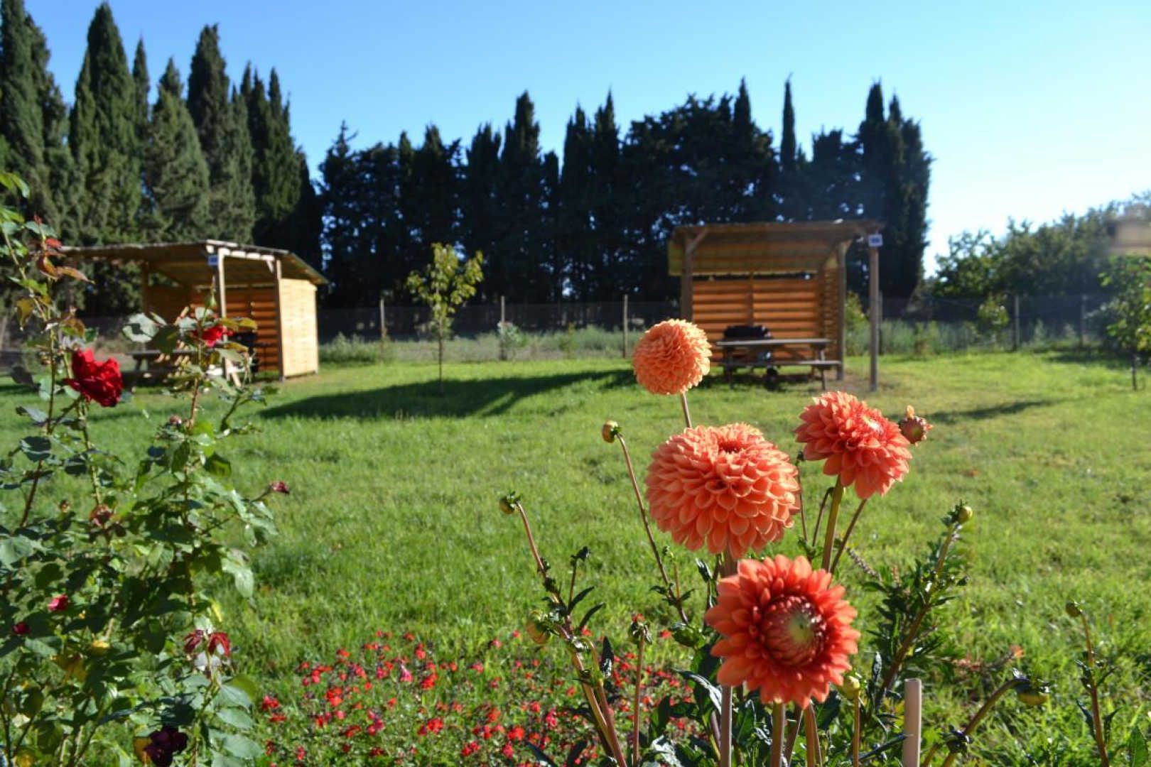 BANYULS, Latour-Bas-Elne - photo 38