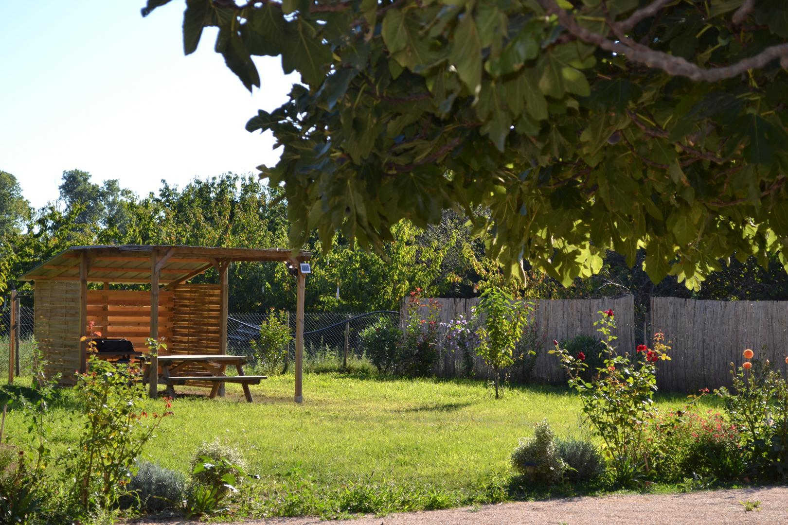 BANYULS, Latour-Bas-Elne - photo 41