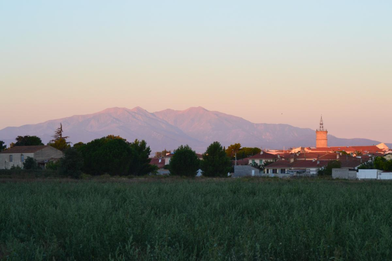 COLLIOURE, Latour-Bas-Elne - photo 53