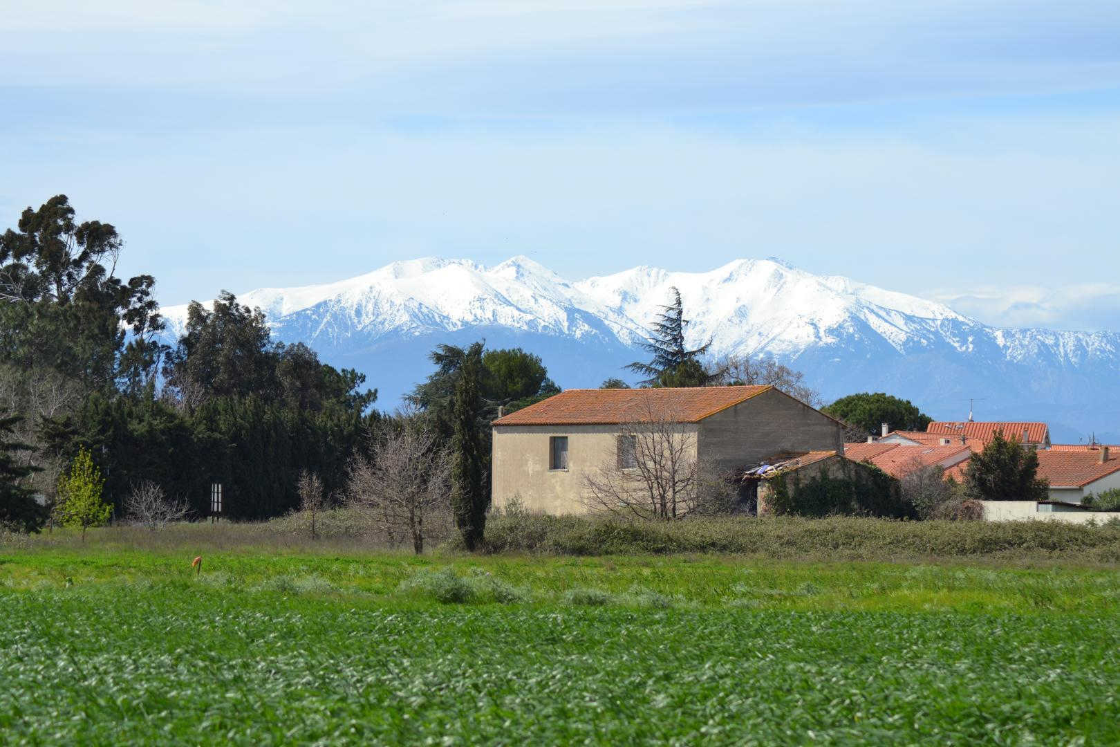 COLLIOURE, Latour-Bas-Elne - photo 44