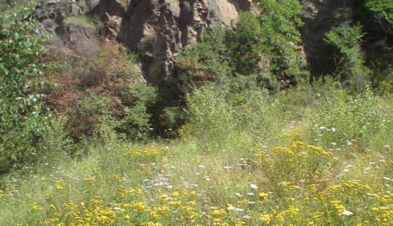 Yravals_23