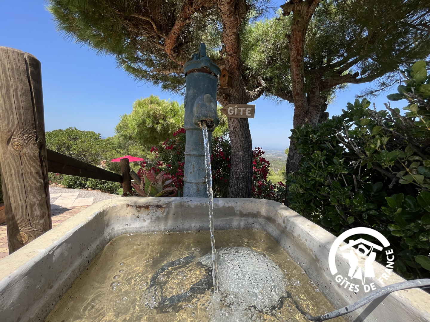 66G109901 11490d64e0ab4152b59359cc959cc439