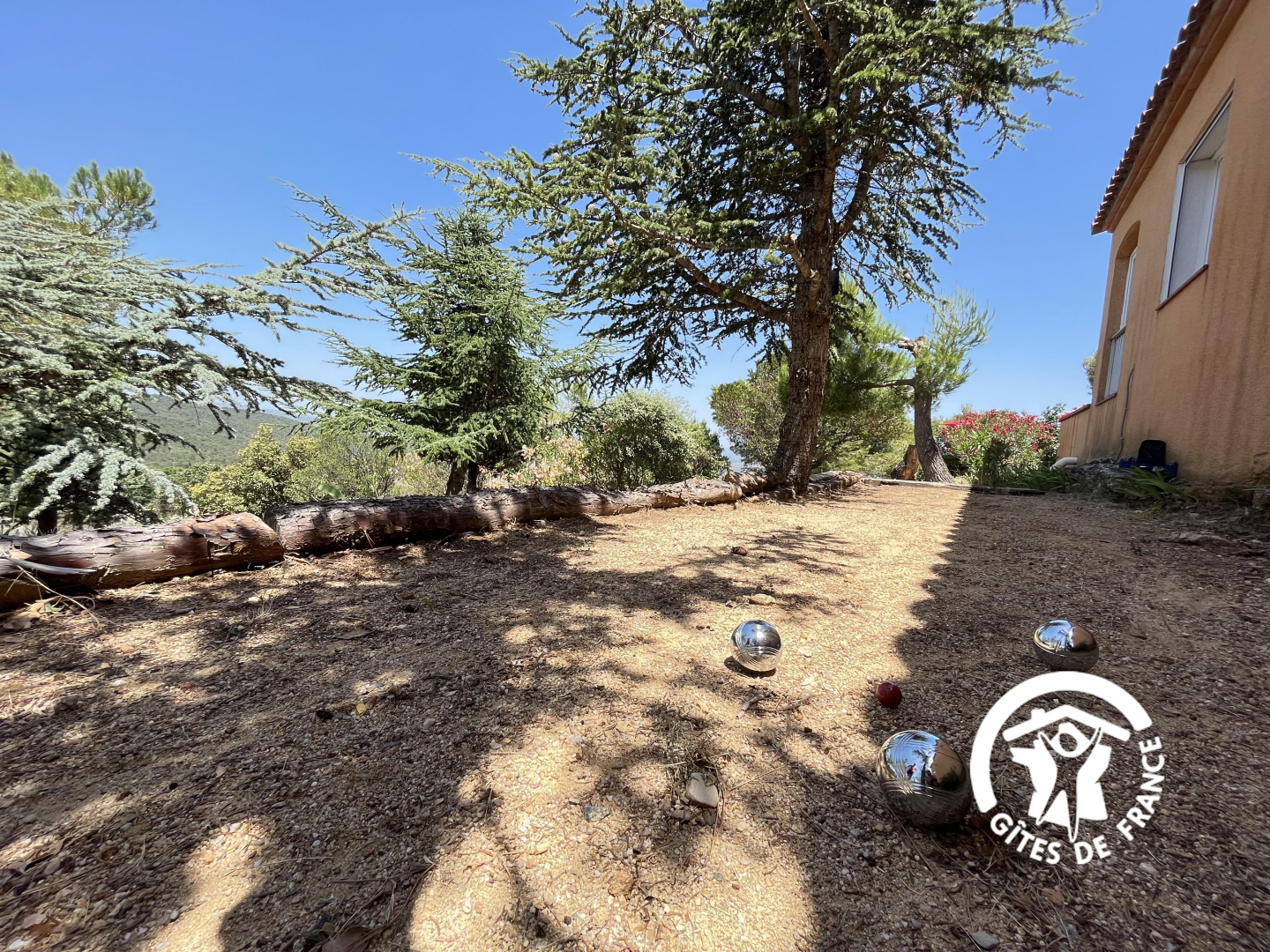 66G109901 63b512e7d1e7476ca8d70d74be4ebb21