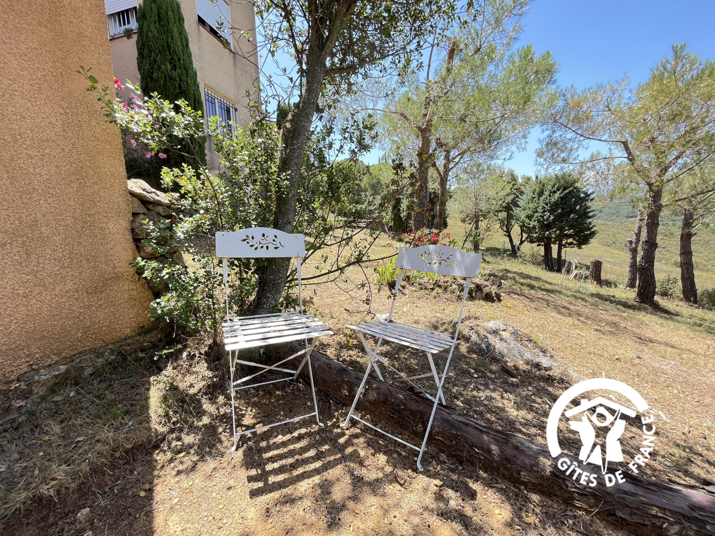 66G109901 6a3beeade7ee47789dabb0fc1b653c12