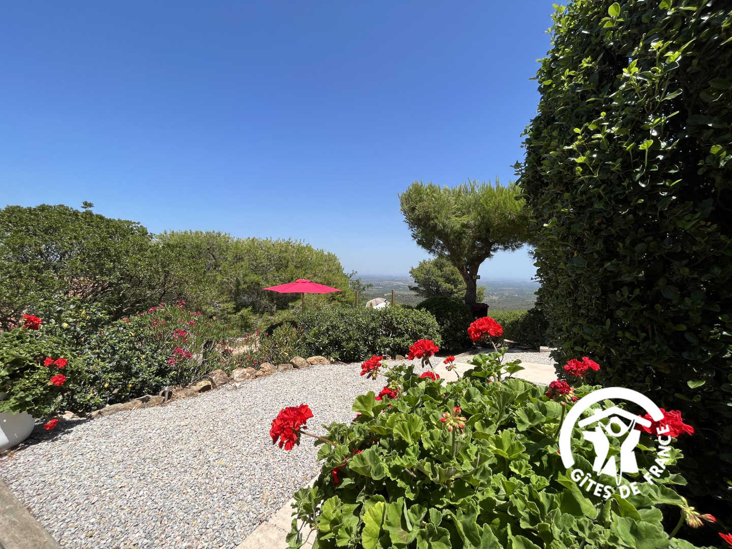 66G109901 833531085e164e52bcfde15f9b8b7825