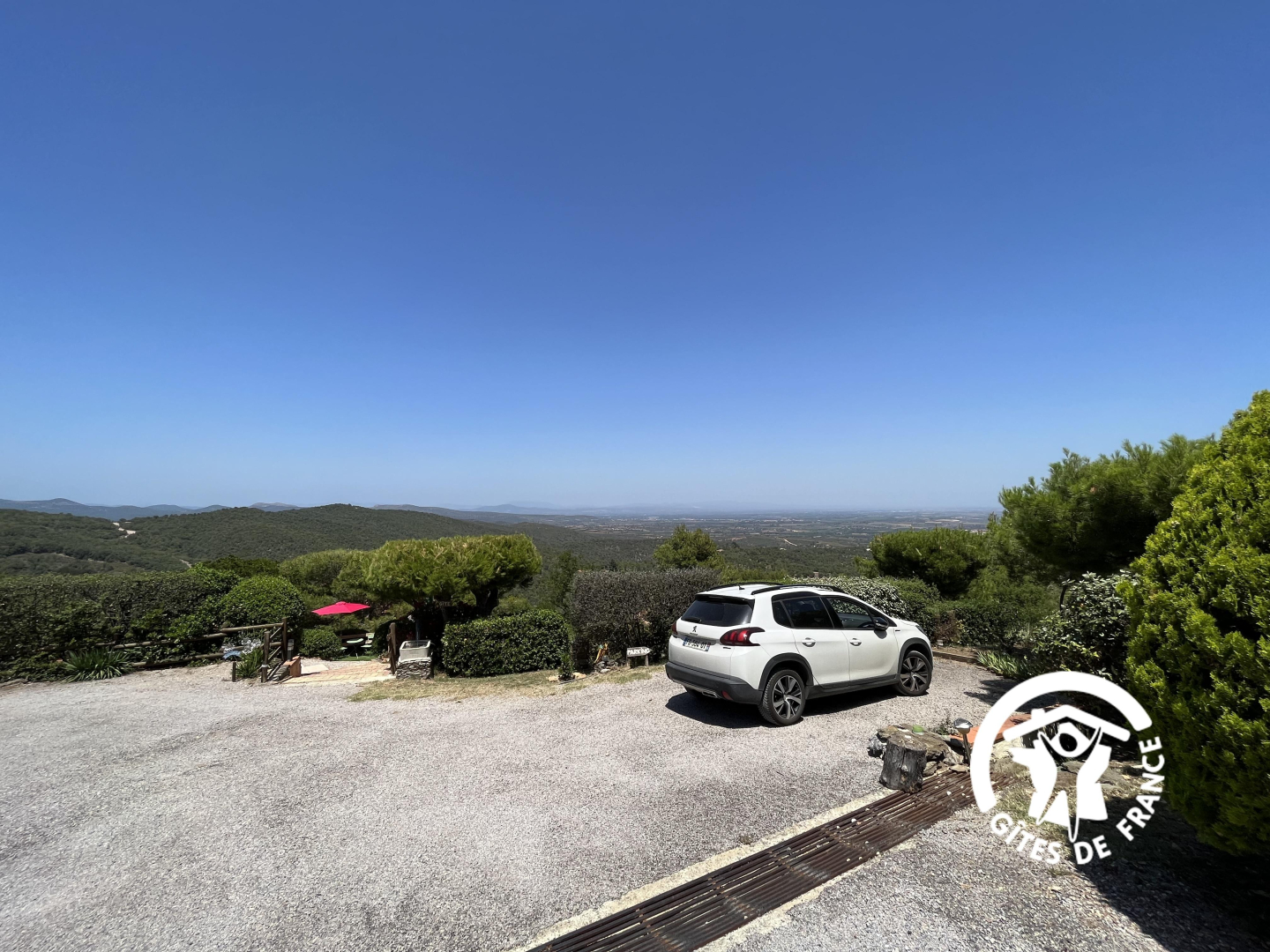 66G109901 a3149729ff9e4d9cba59c5568fe858b2