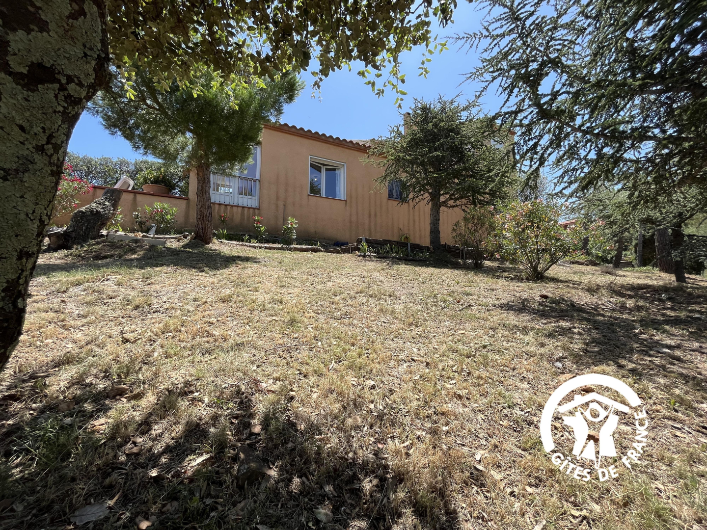 66G109901 a706ad9ab69b46f1bc937c3c06b39d8c