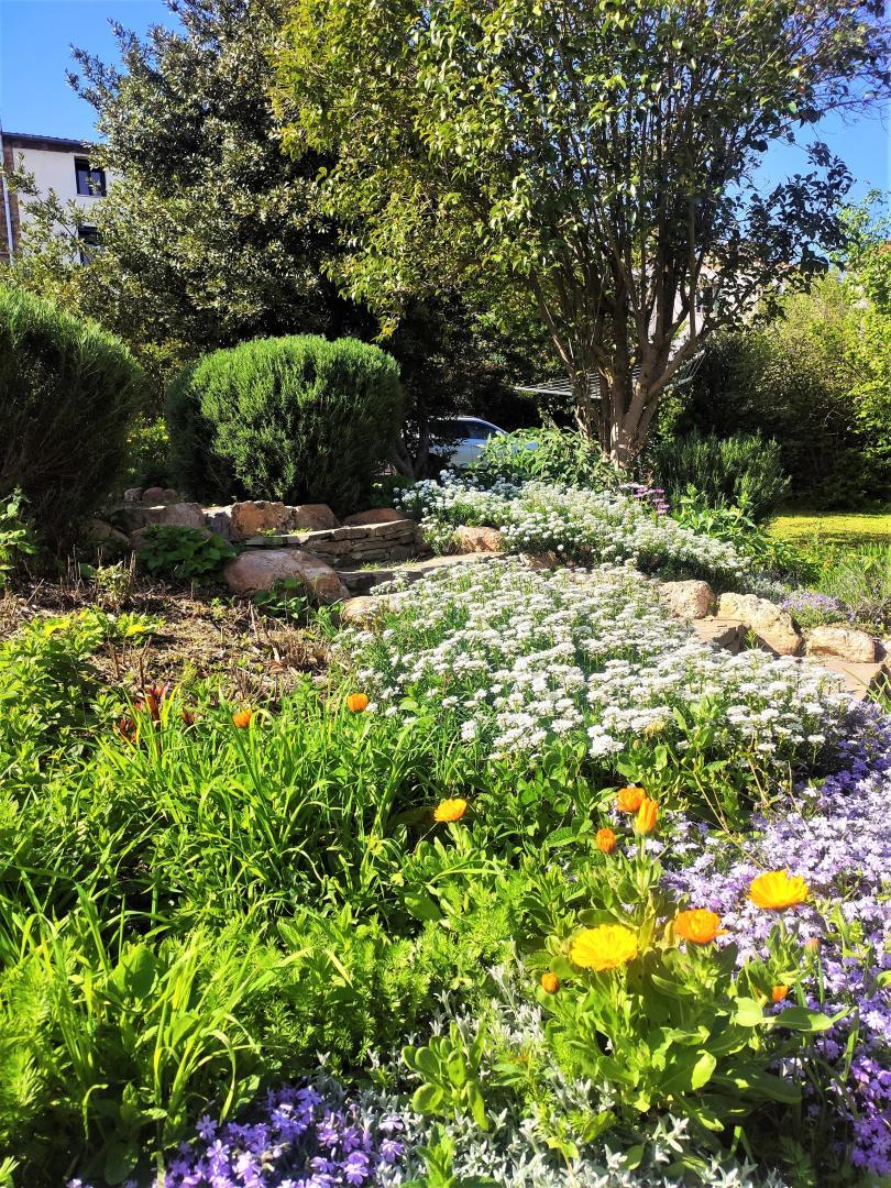 66G109903 096812ff33714e3b985c41ddf5a3ee9f