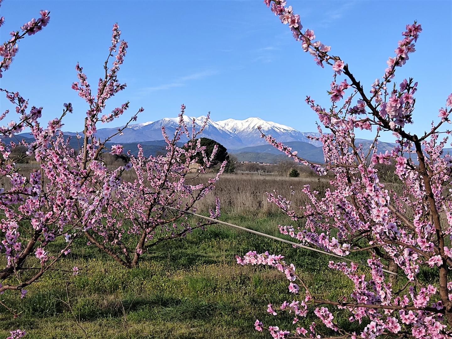 66G109903 454fcbcc324f40f1b7477a6fed23fd9c