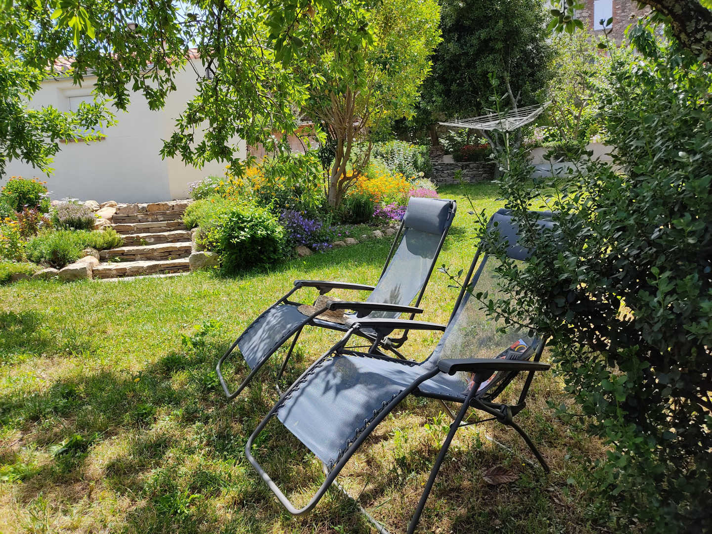 66G109903 537877408a564f10978100d5bb16f19a