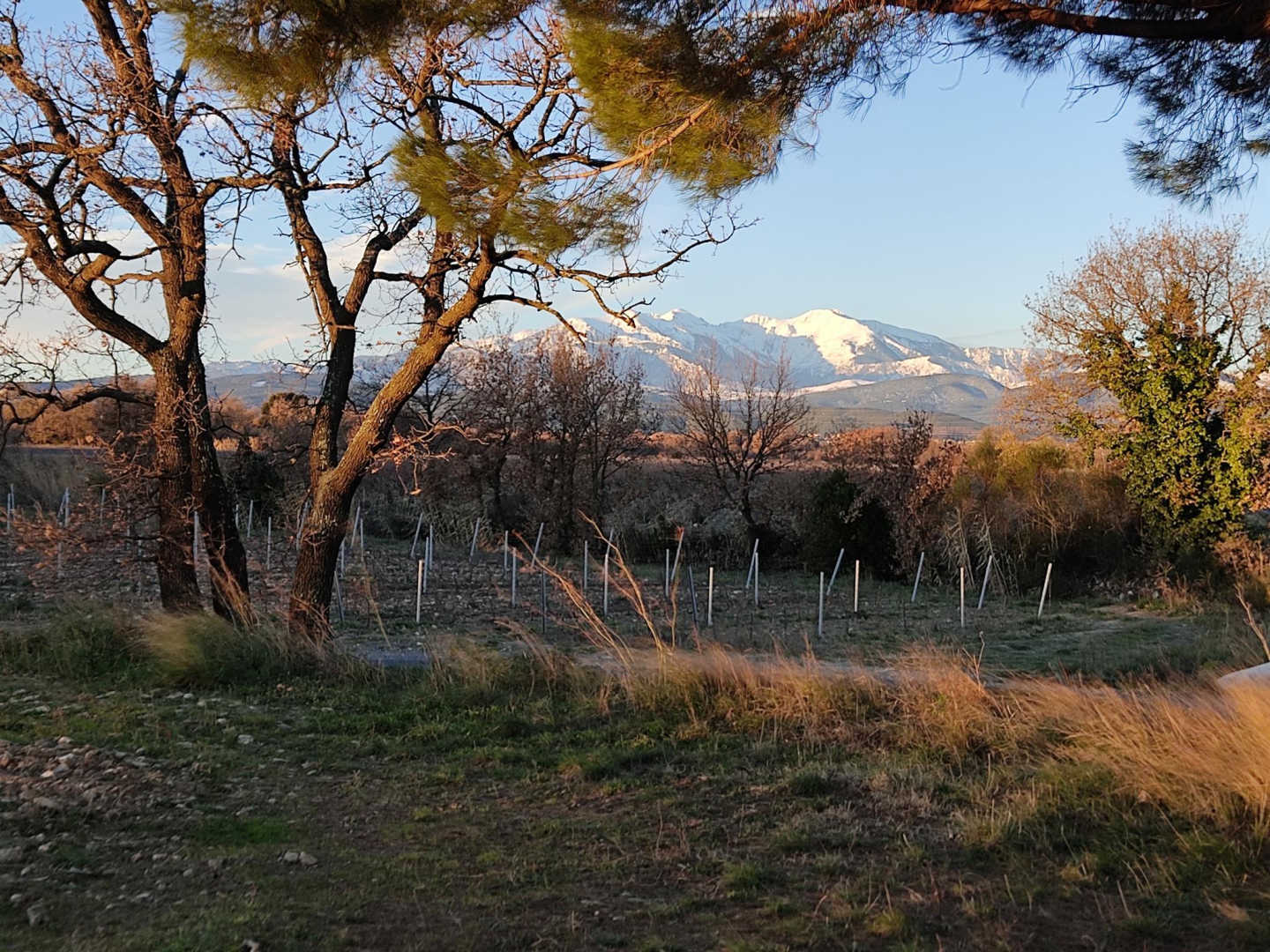 66G109903 64160dc9cc8c40fe8503cfc9f359cf25