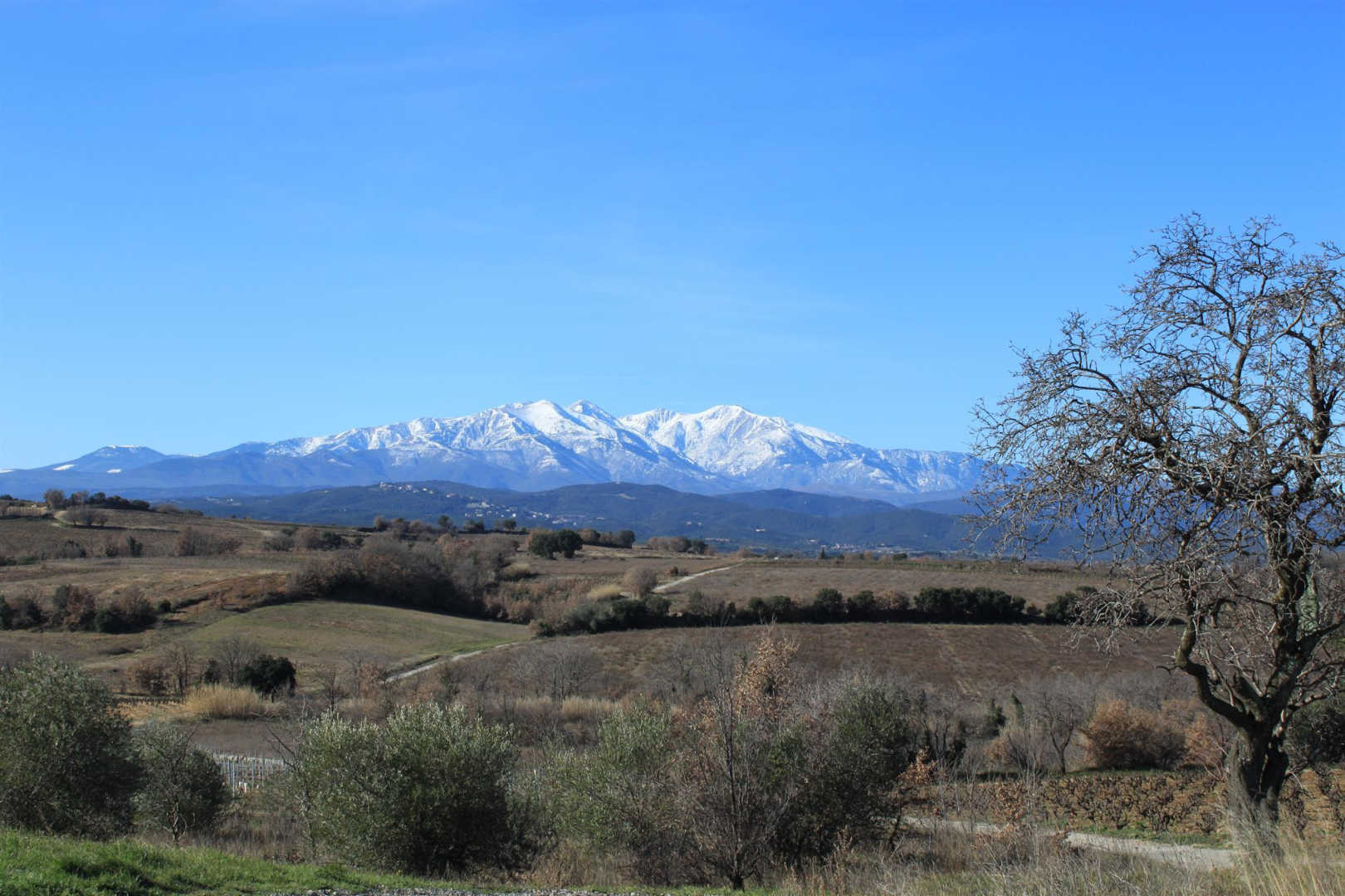 66G109903 a3802804ddef44baa3ad1ec1632160d2