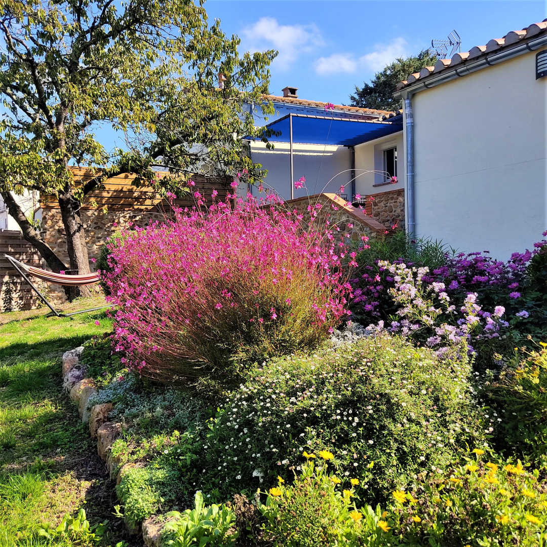 66G109903 d27da8de9b754573a5f0cd105a904030