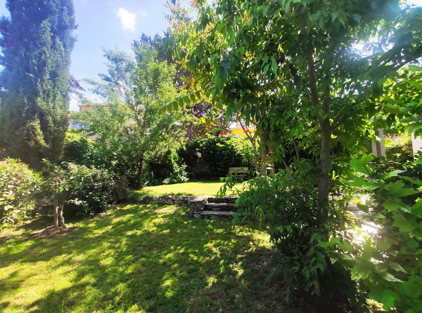 66G109904 0f3f6306b4ec42e99d21ff5a320b481e