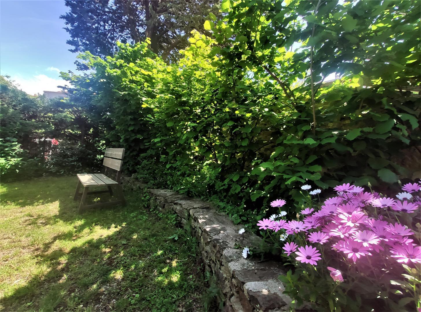 66G109904 3d97d1e0d60a45469e5b2b9813567979