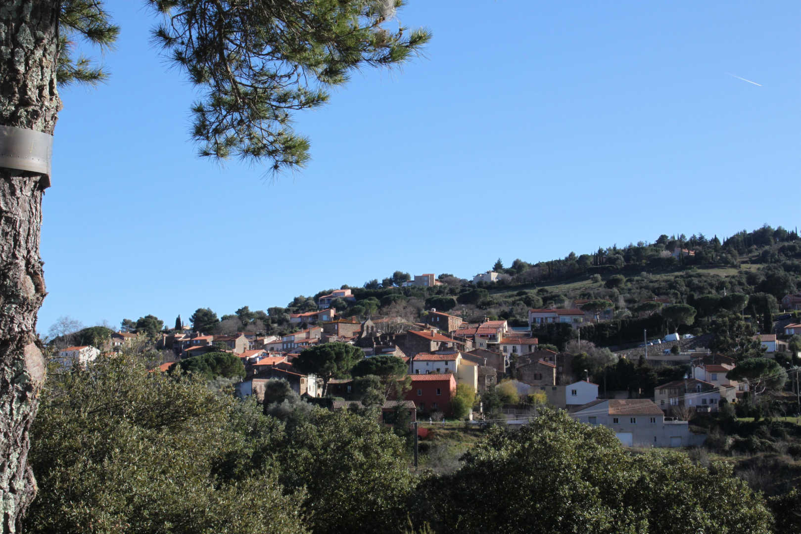 66G109904 5405581ea715461a8c59c3f99f8bf780