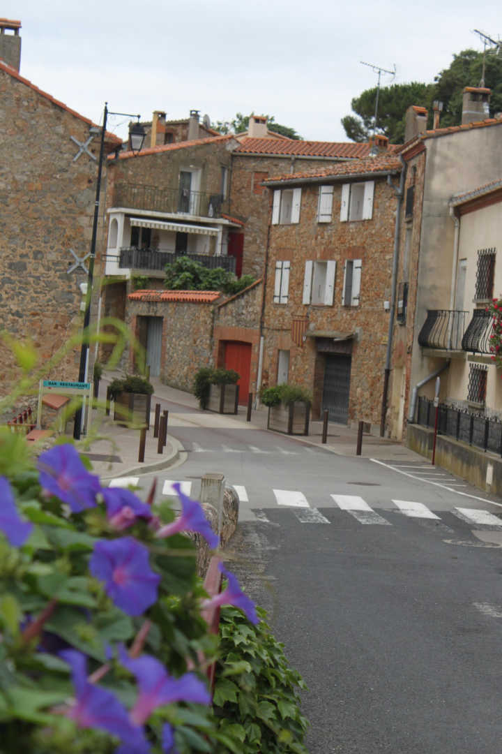 66G109904 568a476ecd094111a66b8a69a92a9021