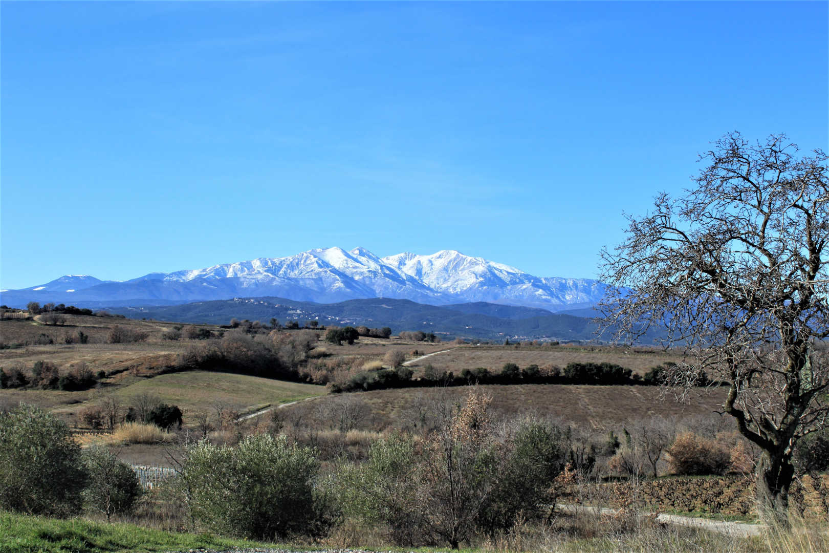 66G109904 6a4a65a246be4a3eb1fd4263b1e5a4a6