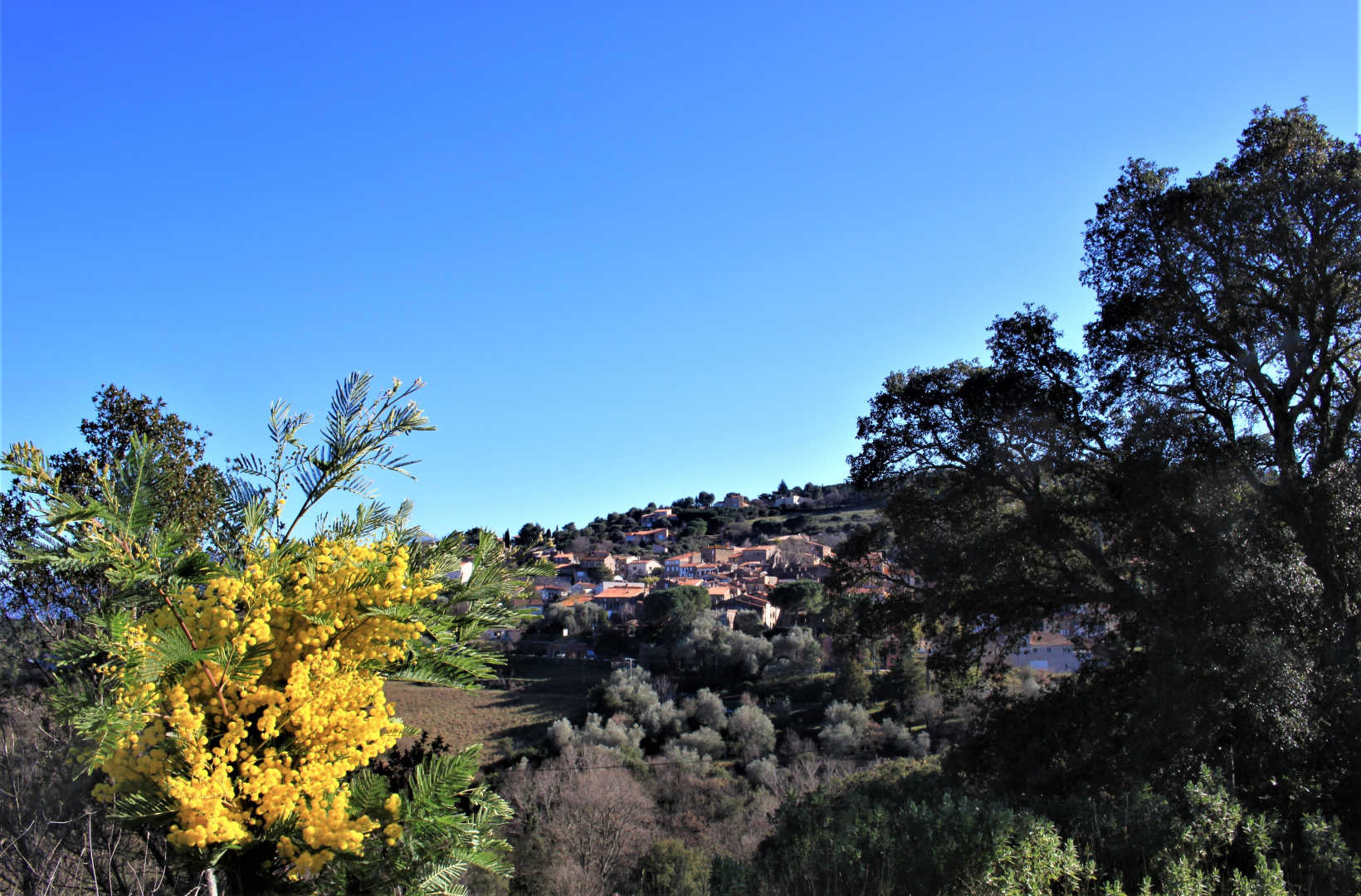 66G109904 8284b0ebc75c40e69bce2931ea80bb19