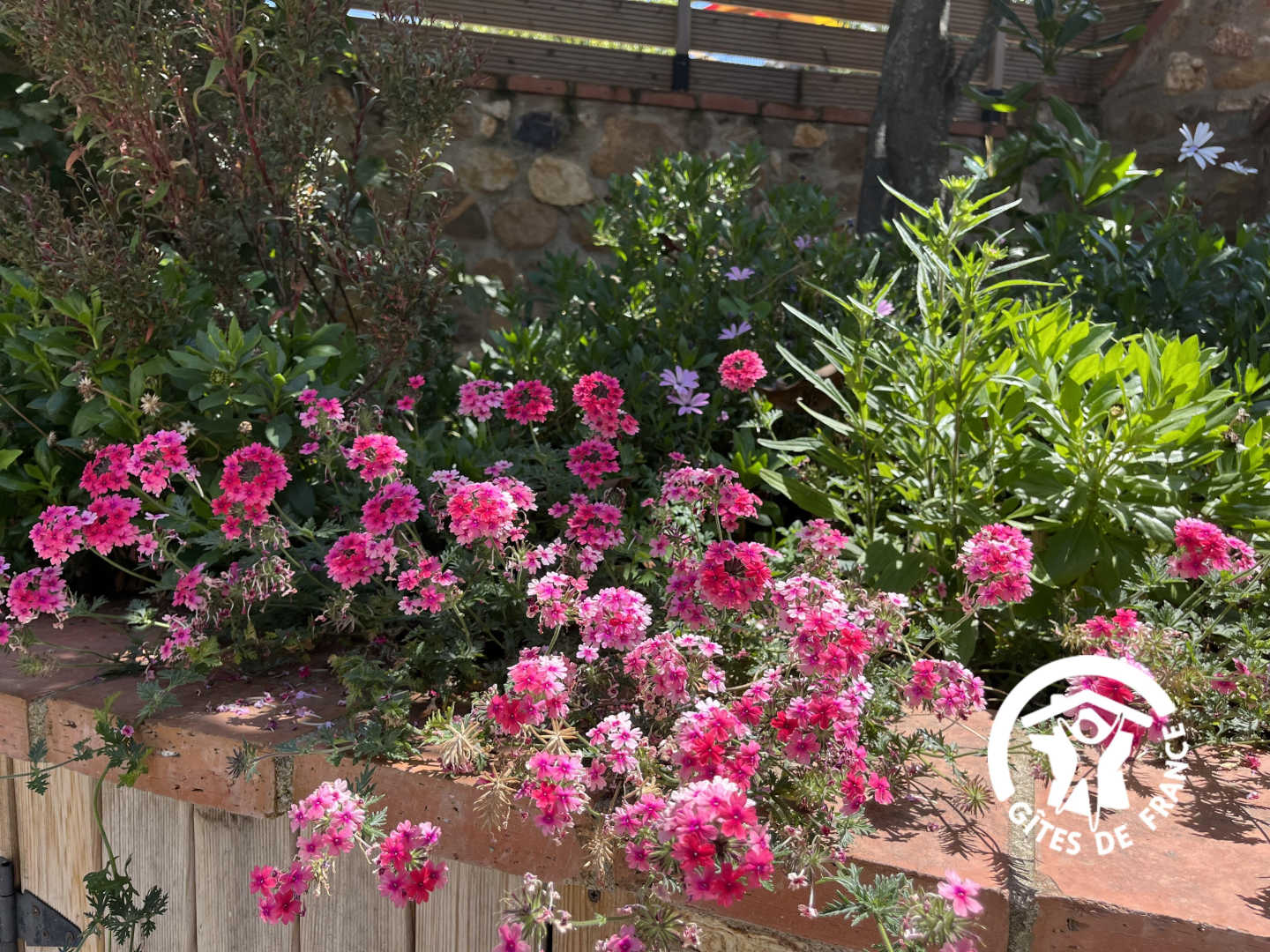 66G109904 b5671fb7a8db4ff3a75846b4271695a2