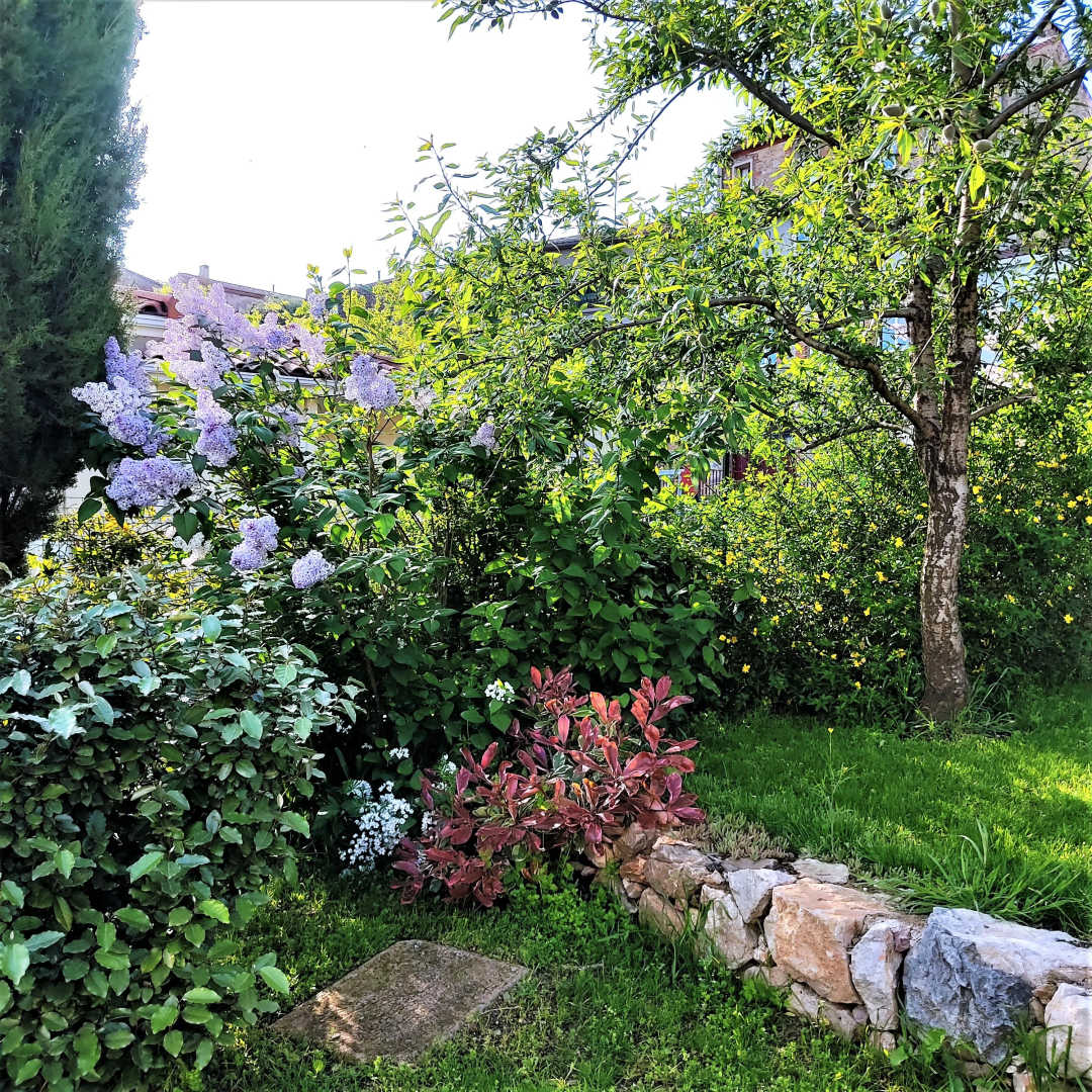 66G109904 c99b71c37aa148acb482886c0d9ce648